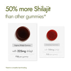 Kapiva Himalayan Shilajit/Shilajeet Gummies | 225mg Shilajit/Gummy | Ginger Honey Flavour | NABL-Certified Gummy | Boosts Energy Levels, Endurance & Stamina | No Added Sugar | Gelatin Free | Gummies