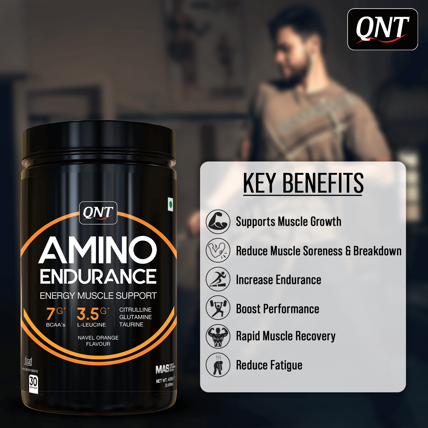 Qnt Amino Endurance | 400g| 5g BCAA + 2500mg Glutamine | Supports Muscle Growth & Recovery | L-Taurine 1000mg | Pre & Post Workout Supplement
