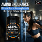 Qnt Amino Endurance | 400g| 5g BCAA + 2500mg Glutamine | Supports Muscle Growth & Recovery | L-Taurine 1000mg | Pre & Post Workout Supplement