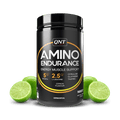 Qnt Amino Endurance | 400g| 5g BCAA + 2500mg Glutamine | Supports Muscle Growth & Recovery | L-Taurine 1000mg | Pre & Post Workout Supplement