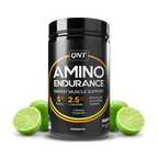 Qnt Amino Endurance | 400g| 5g BCAA + 2500mg Glutamine | Supports Muscle Growth & Recovery | L-Taurine 1000mg | Pre & Post Workout Supplement