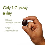 Kapiva Himalayan Shilajit/Shilajeet Gummies | 225mg Shilajit/Gummy | Ginger Honey Flavour | NABL-Certified Gummy | Boosts Energy Levels, Endurance & Stamina | No Added Sugar | Gelatin Free | Gummies